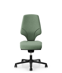 Giroflex64.jpg
